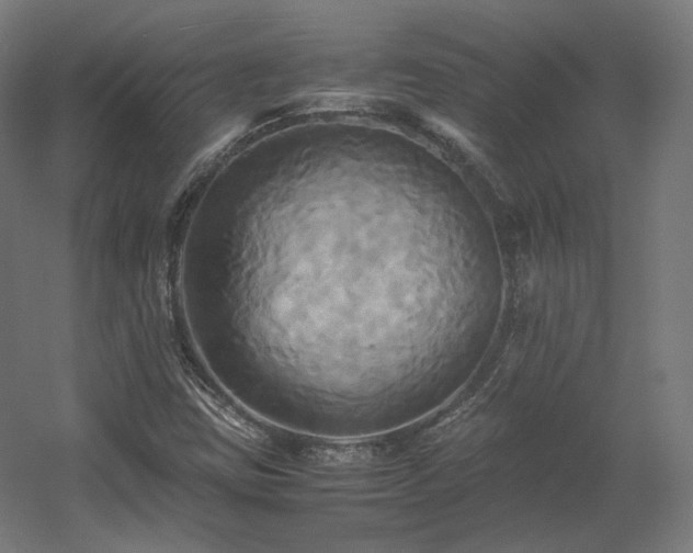 X0000060571403200511031257