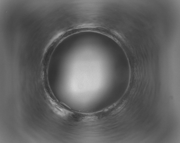 X0000060571406200511031257