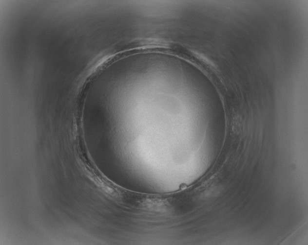 X0000060571407200511031257