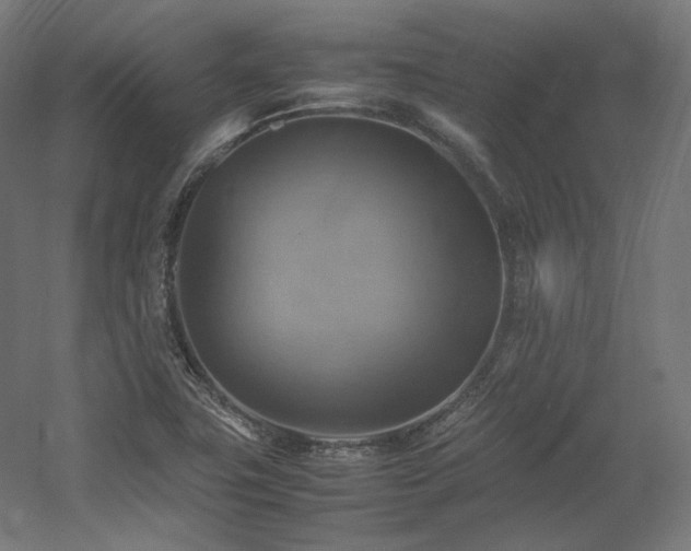X0000060571411200511031257