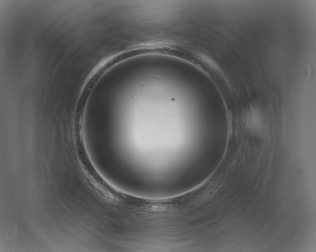 X0000060571412200511031257