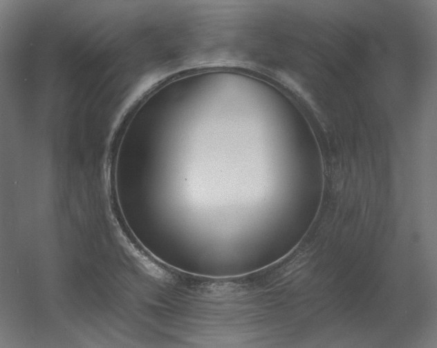 X0000060571416200511031257
