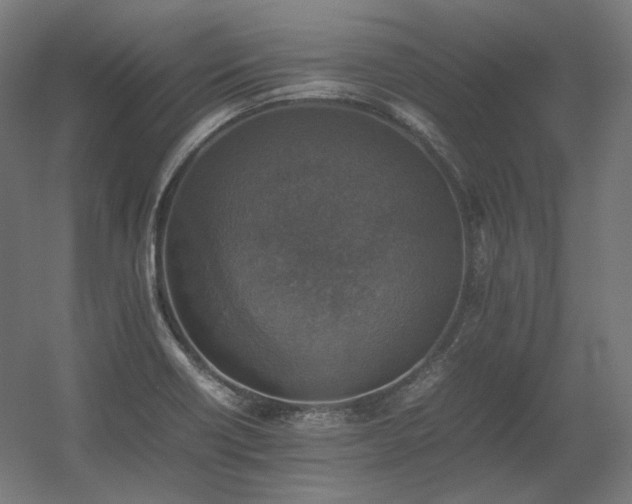 X0000060571418200511031257