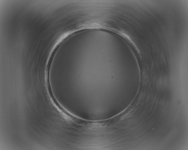 X0000060571424200511031257