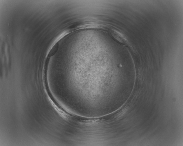 X0000060571426200511031257