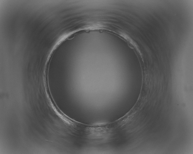 X0000060571429200511031257