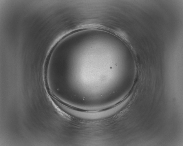 X0000060571430200511031257