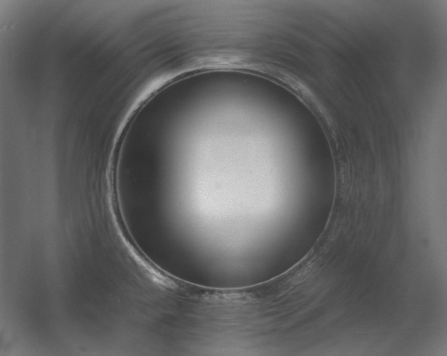 X0000060571432200511031258