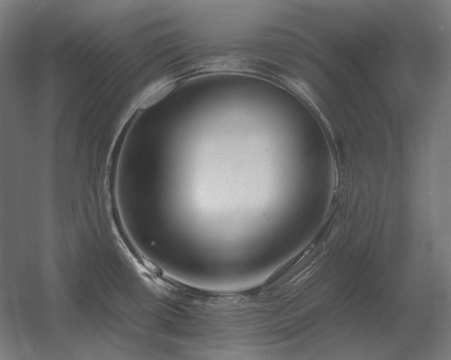 X0000060571434200511031258