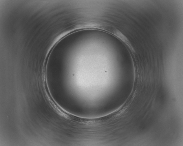 X0000060571436200511031258