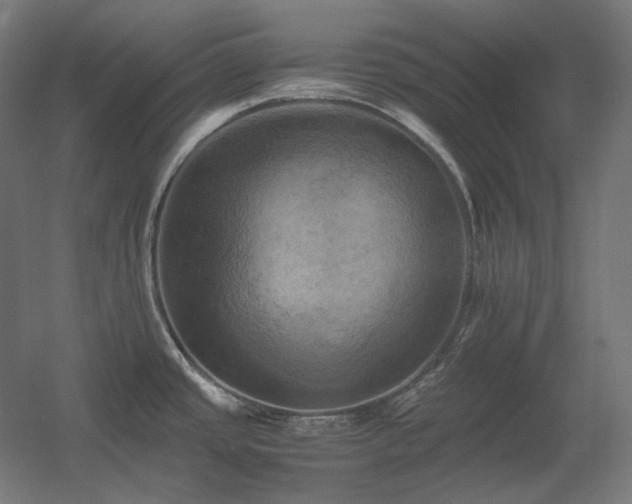 X0000060571437200511031258