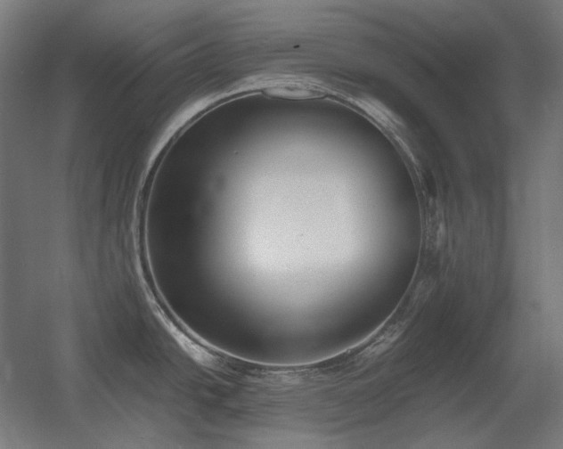 X0000060571438200511031258