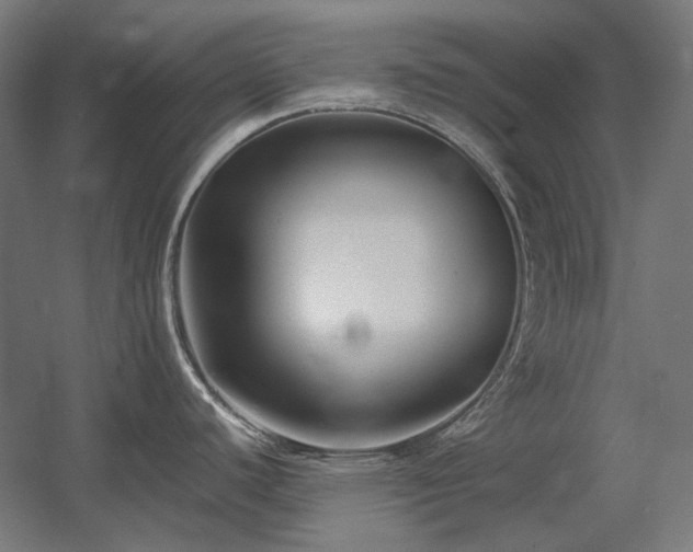 X0000060571440200511031258
