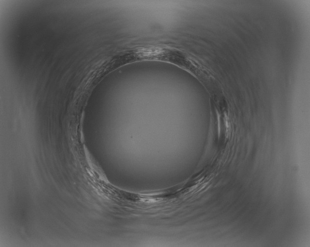 X0000060571441200511031257