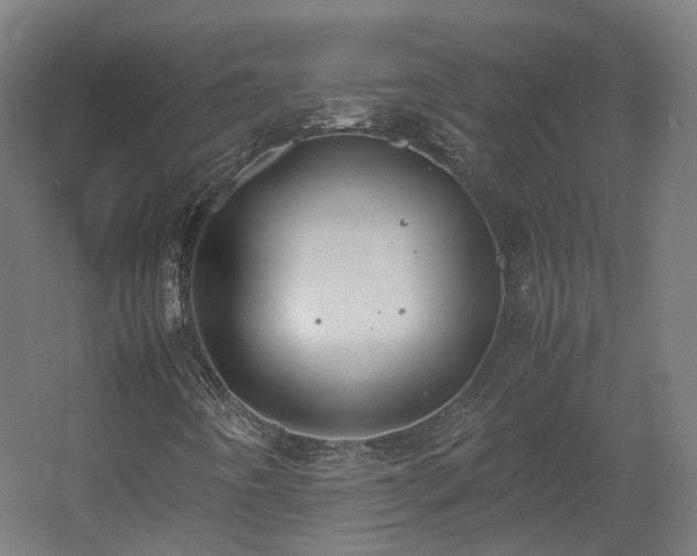 X0000060571442200511031257