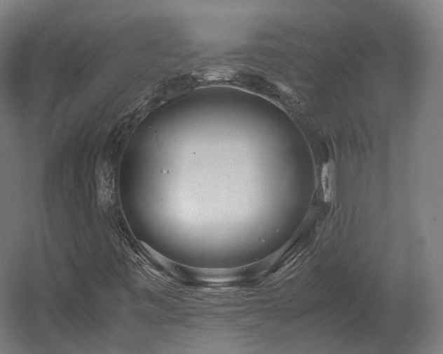 X0000060571443200511031257