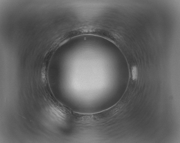 X0000060571444200511031257