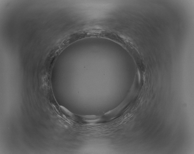 X0000060571445200511031257