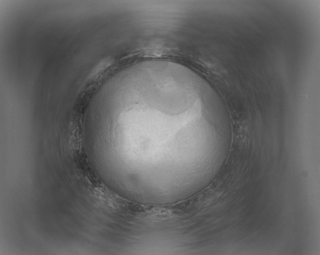 X0000060571446200511031257