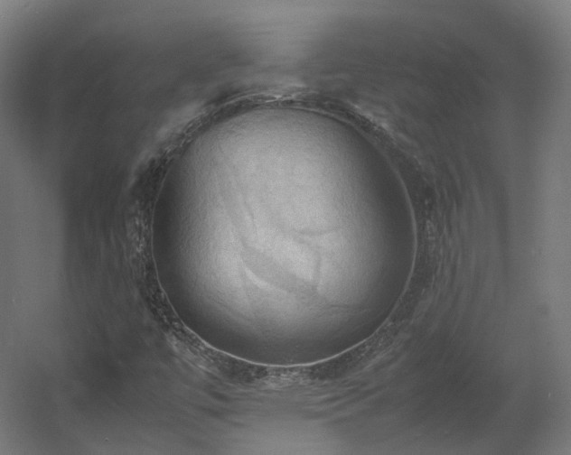 X0000060571447200511031257