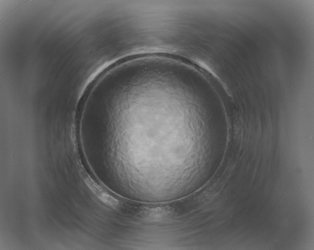 X0000060571460200511031257