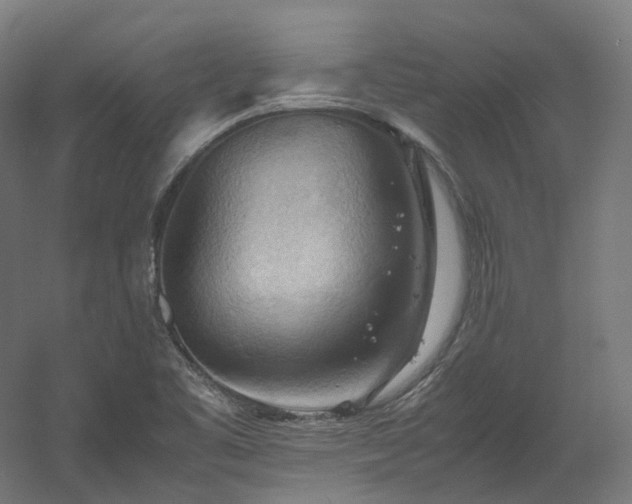 X0000060571461200511031256