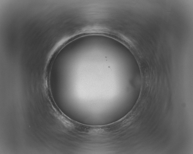 X0000060571462200511031256