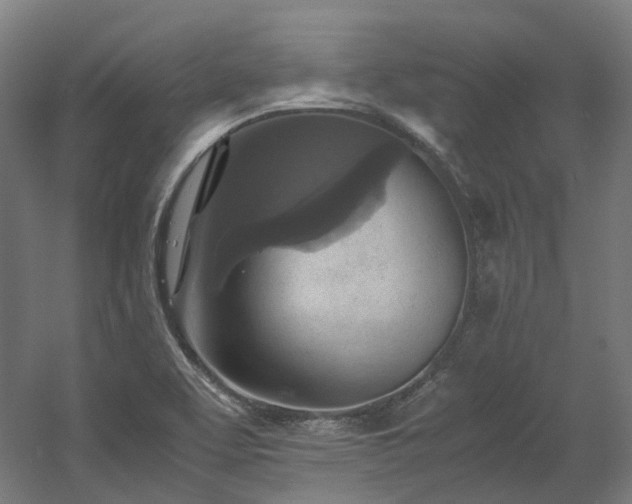 X0000060571463200511031256