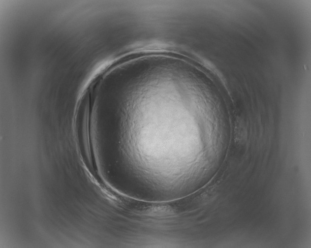 X0000060571464200511031256