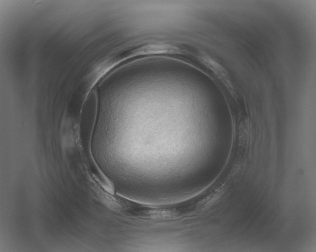 X0000060571465200511031256