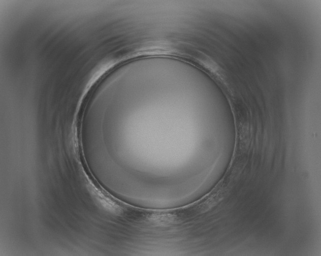X0000060571466200511031256