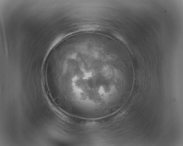 X0000060571467200511031256