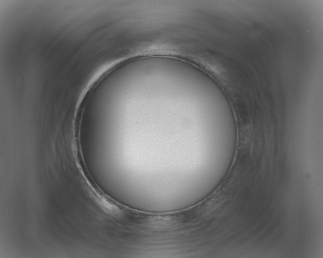 X0000060571470200511031256