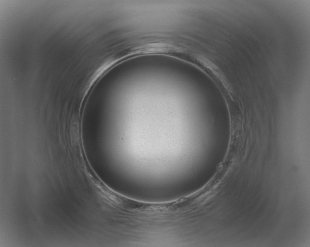 X0000060571473200511031256