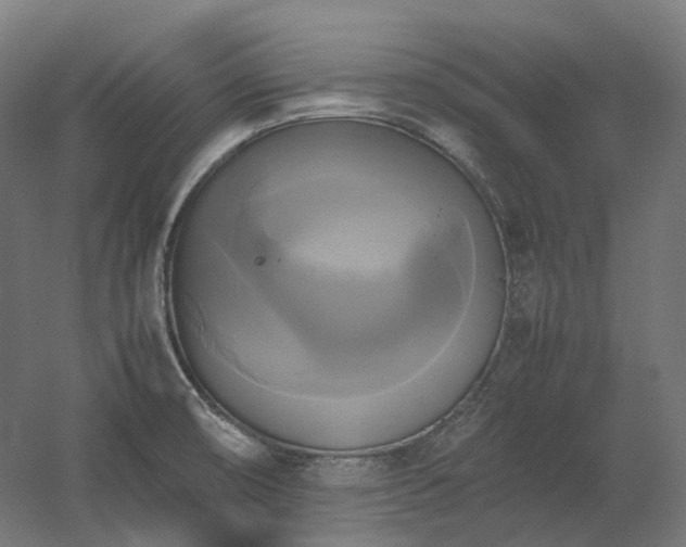 X0000060571474200511031256