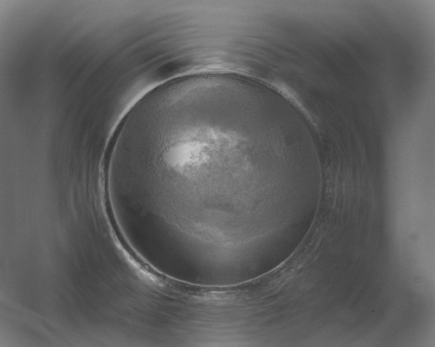 X0000060571476200511031256