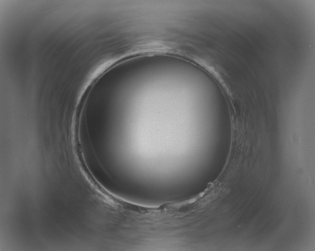 X0000060571477200511031256