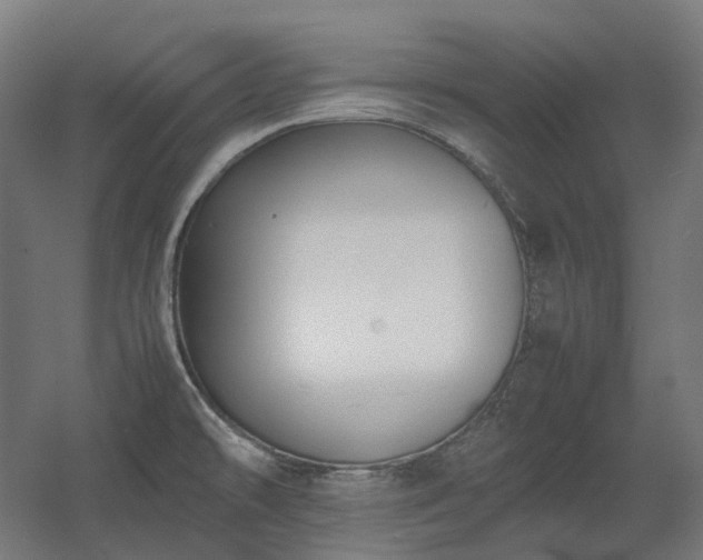 X0000060571478200511031256
