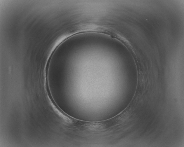 X0000060571479200511031256