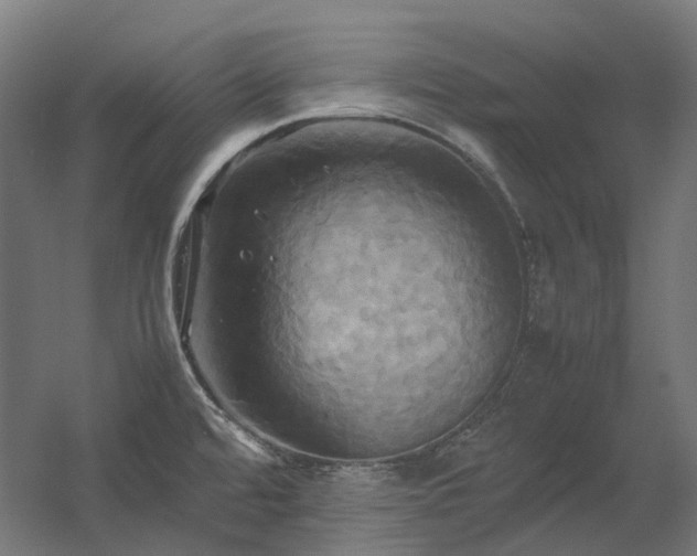 X0000060571480200511031256