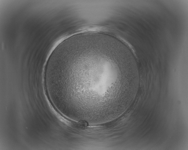 X0000060571483200511031256