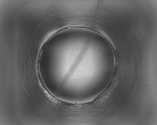 X0000060571485200511031256