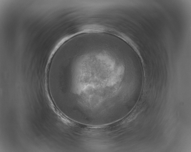 X0000060571488200511031256