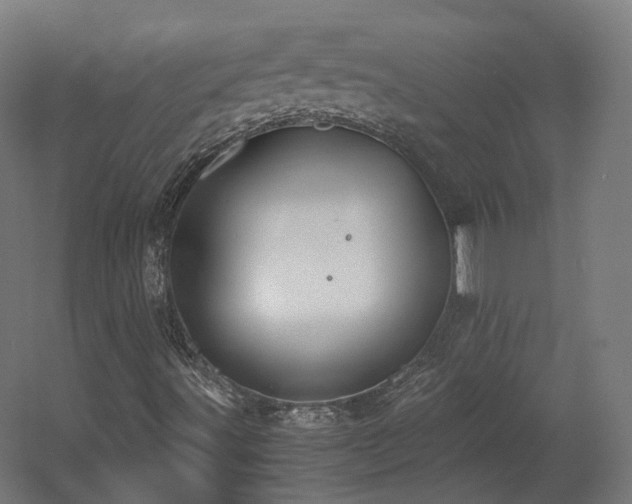 X0000060571491200511031255