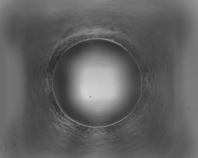 X0000060571493200511031255