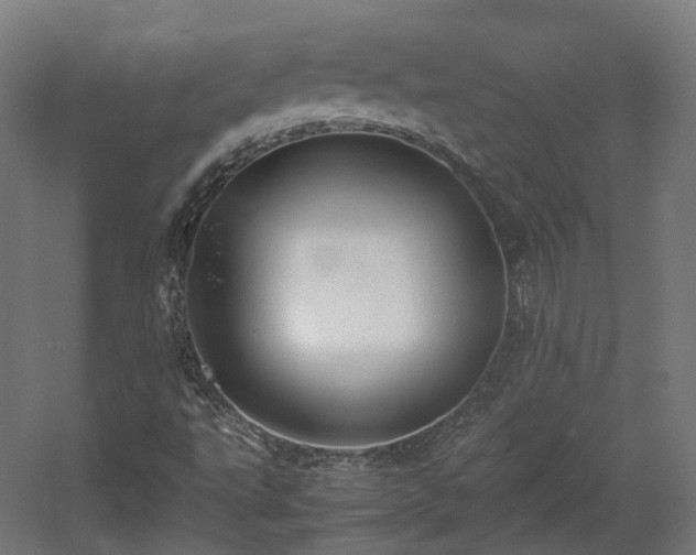 X0000060571495200511031255