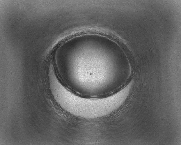 X0000060571496200511031255