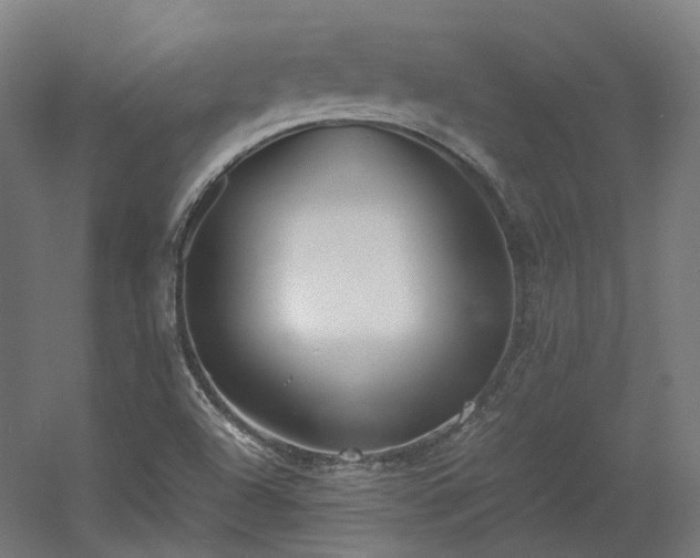 X0000060571504200511031255