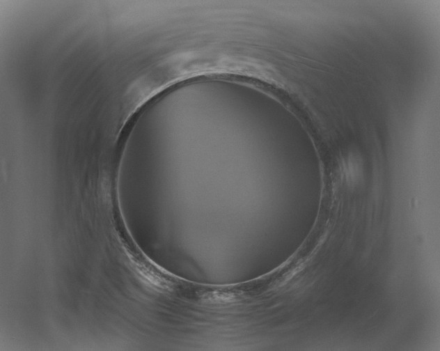 X0000060571505200511031255
