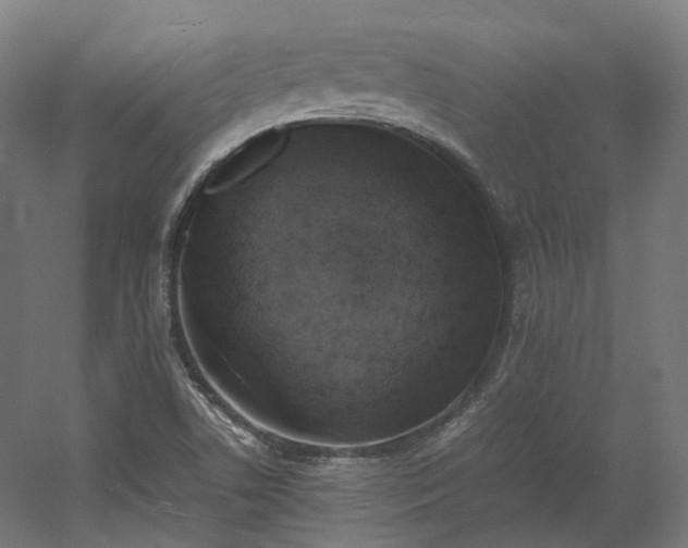 X0000060571506200511031256